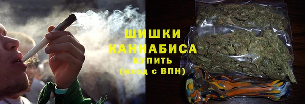 ГАЛЛЮЦИНОГЕННЫЕ ГРИБЫ Алексин