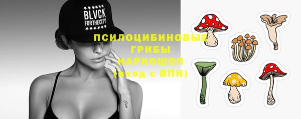 ГАЛЛЮЦИНОГЕННЫЕ ГРИБЫ Алексин