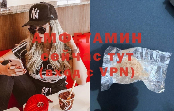 стаф Алзамай